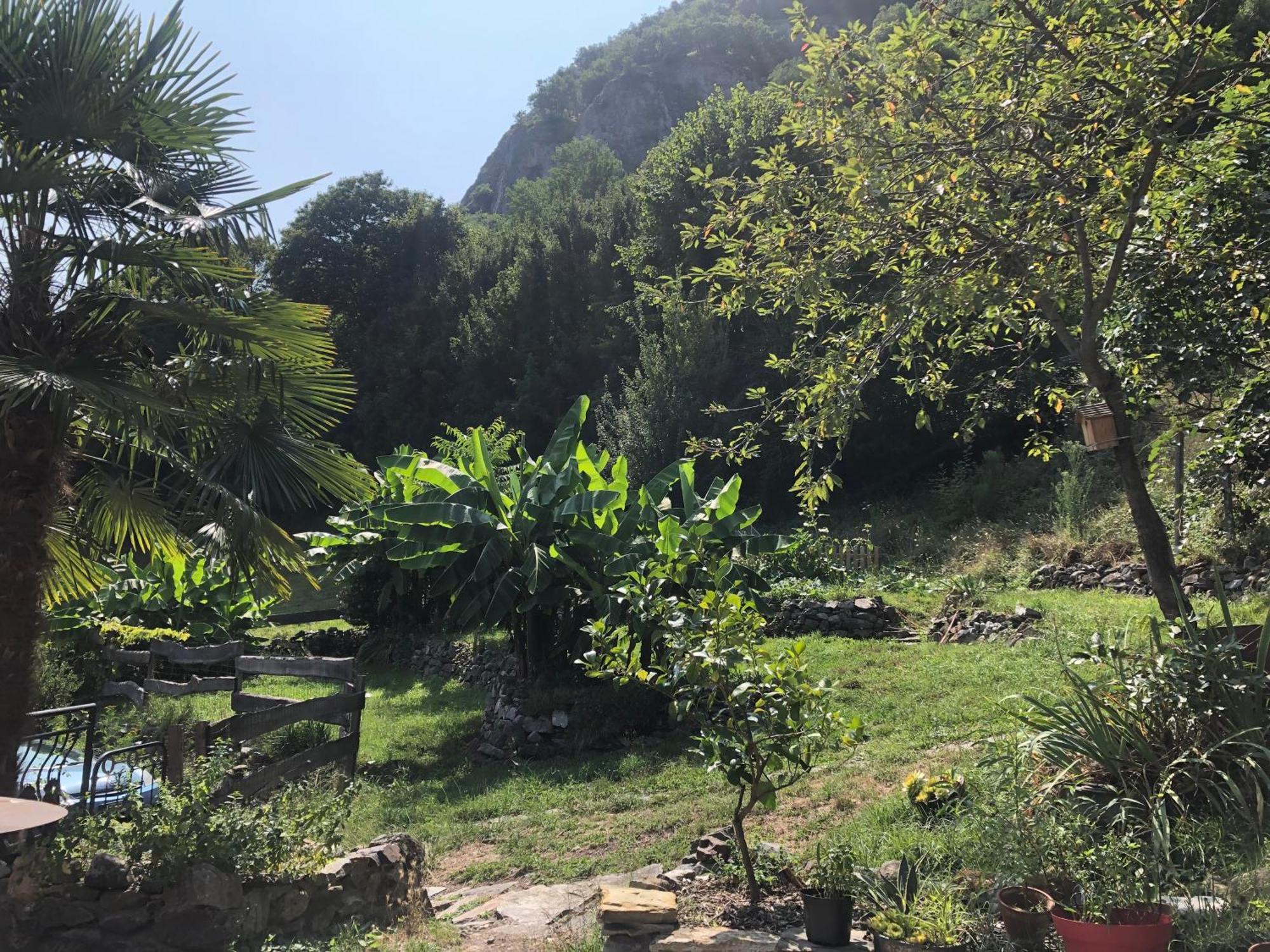 La Auarje: Appartement Avec Jardin & Terrasse Cierp Kültér fotó