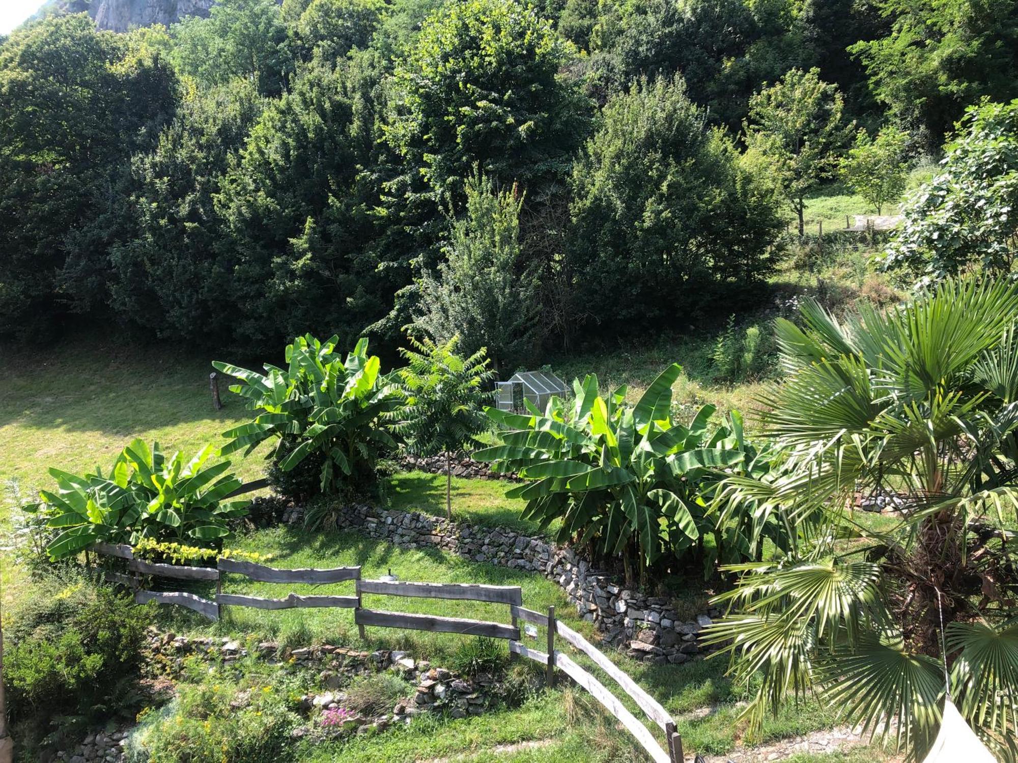 La Auarje: Appartement Avec Jardin & Terrasse Cierp Kültér fotó