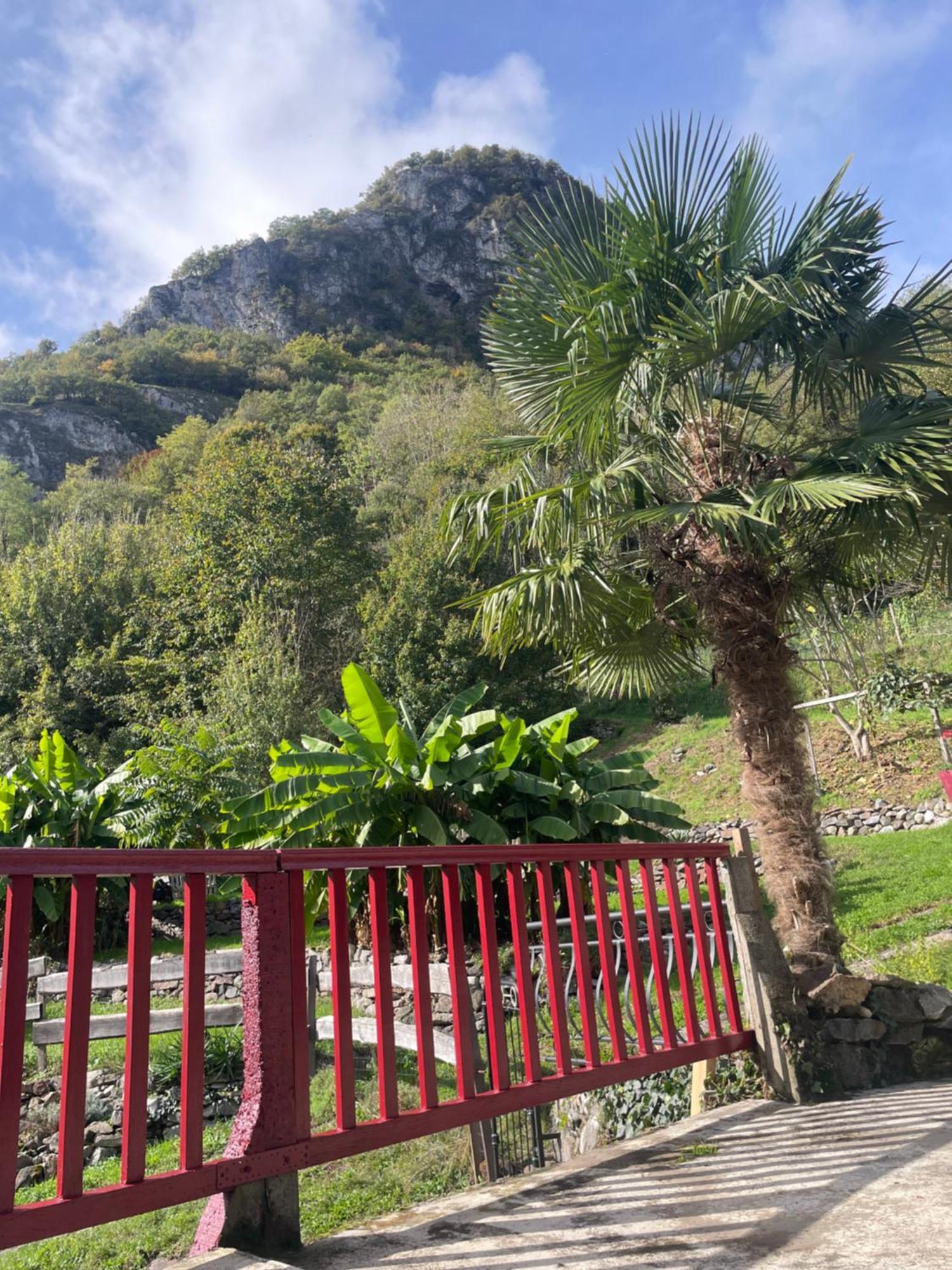 La Auarje: Appartement Avec Jardin & Terrasse Cierp Kültér fotó